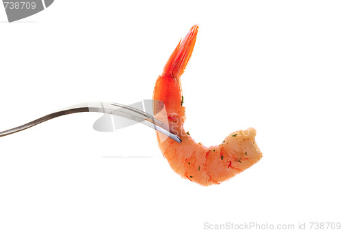 Image of Jumbo shrimp