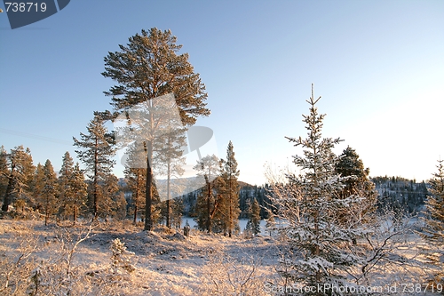 Image of Mountain landscape