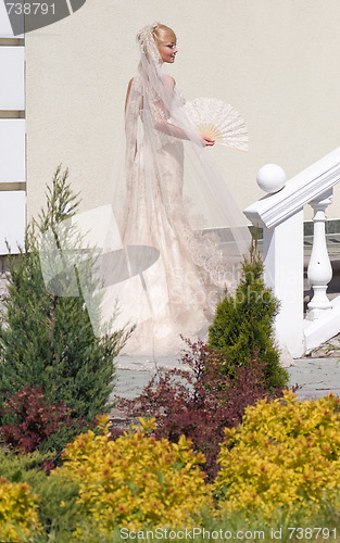 Image of Bride in the garden