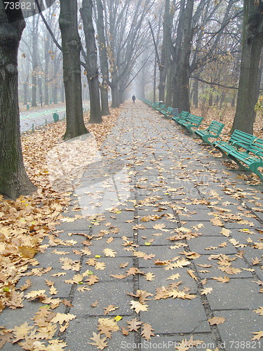 Image of autumn