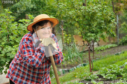 Image of Senior woman gardening