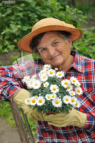 Image of Senior woman gardening