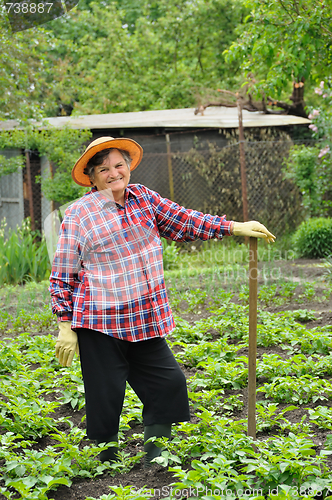 Image of Senior woman gardening