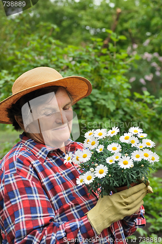 Image of Senior woman gardening