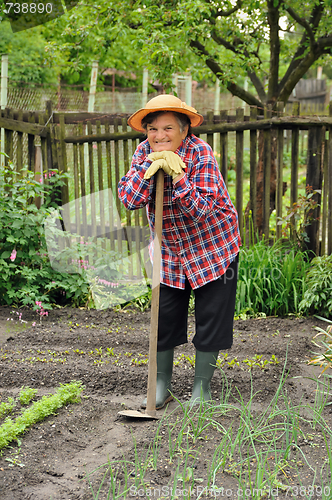 Image of Senior woman gardening