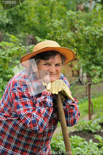 Image of Senior woman gardening