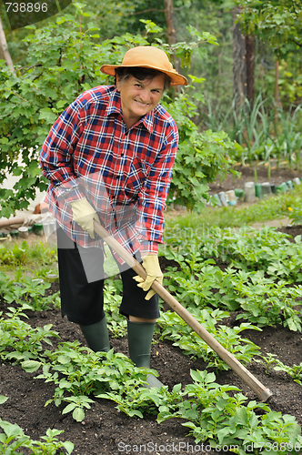 Image of Senior woman gardening