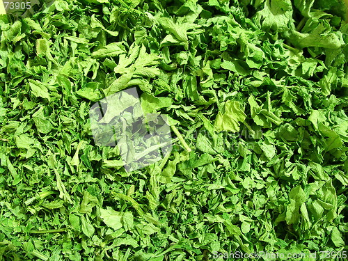 Image of parsley