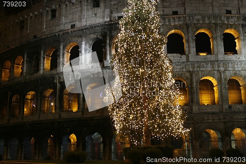 Image of Colosseo with a christmas tree at night (Rome, Italy)