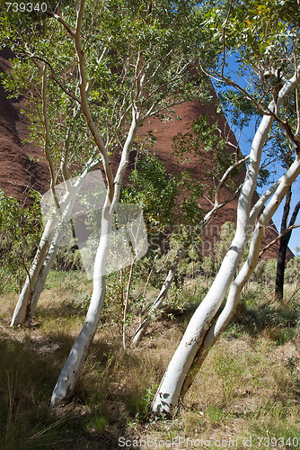 Image of Australian Outback, Northern Territory, Australia