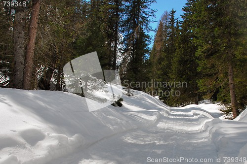 Image of Alps Winter, Dolomites, Italy, 2007