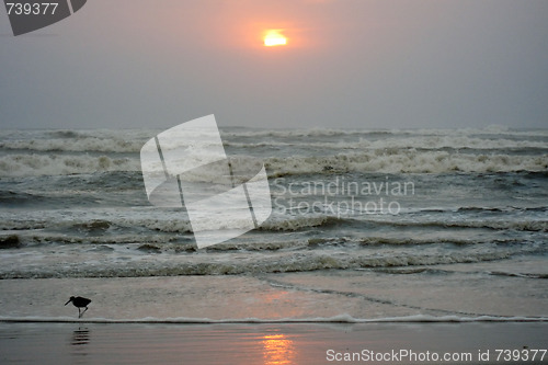 Image of Sunset in South Padre Island, Texas