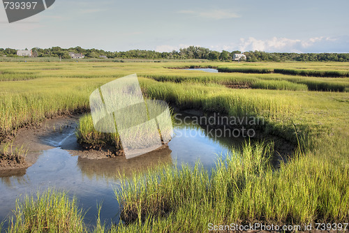 Image of New York Countryside, August 2007