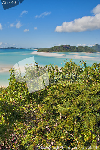 Image of Whitehaven Beach, Queensland, Australia