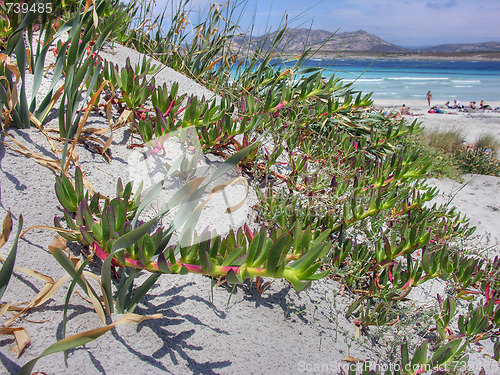 Image of Sardinia Coast in summer, Italy