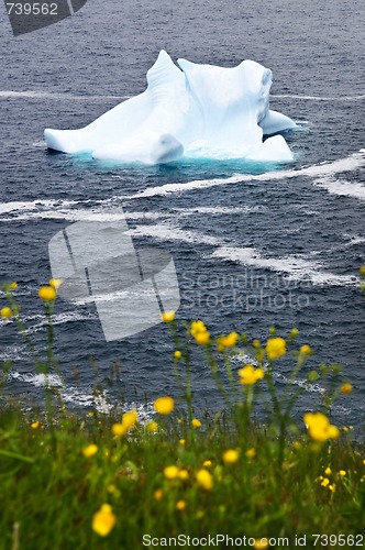 Image of Melting iceberg