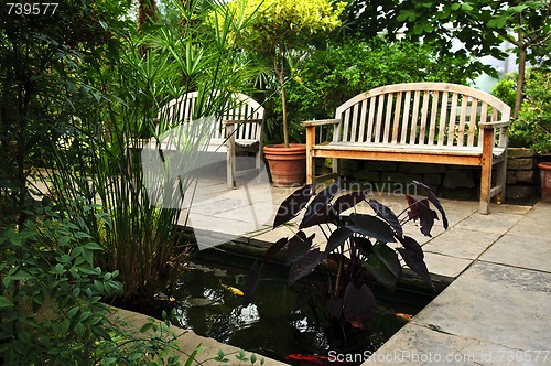 Image of Lush green garden