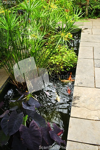 Image of Lush green garden