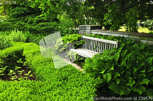 Image of Lush green garden