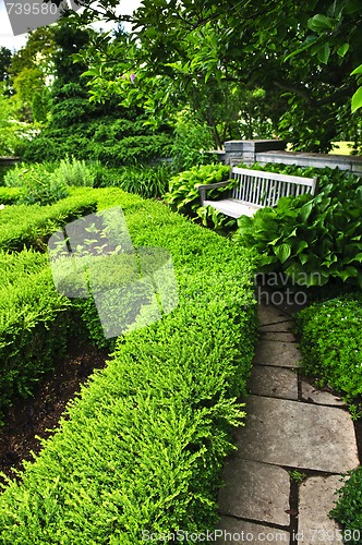 Image of Lush green garden