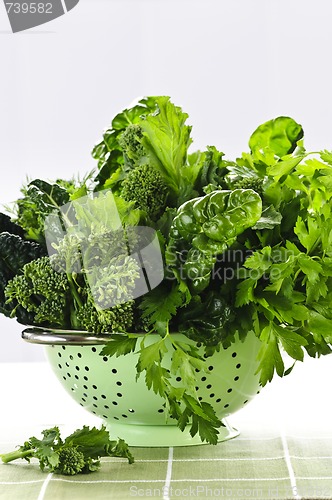 Image of Dark green leafy vegetables in colander