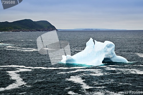 Image of Melting iceberg