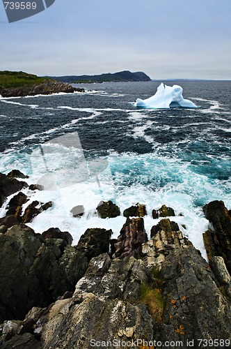 Image of Melting iceberg