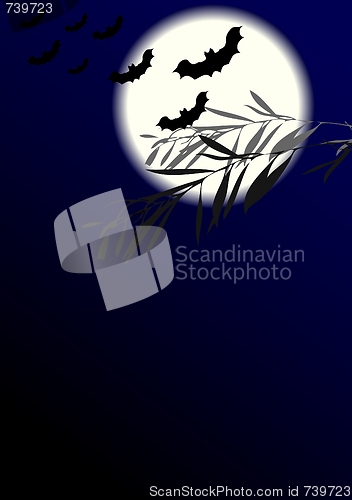 Image of Moonlight night