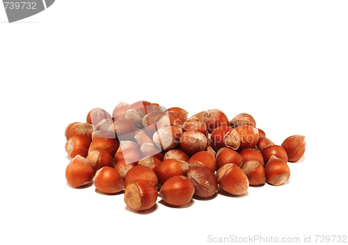 Image of Small group of nuts