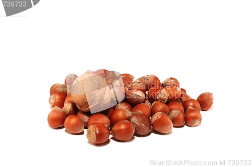 Image of Small group of nuts