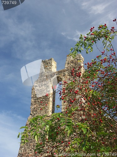 Image of Potstejn Castle