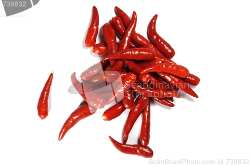 Image of  Spicy red chilipper