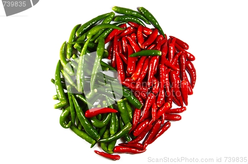 Image of spicy in-jan