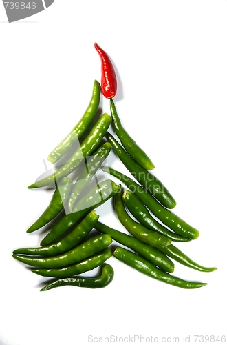 Image of Chili New Year Tree