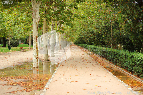 Image of Park alley
