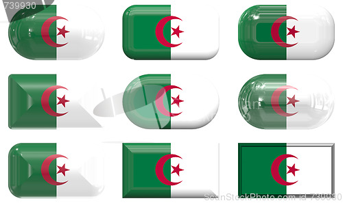 Image of nine glass buttons of the Flag of algeria