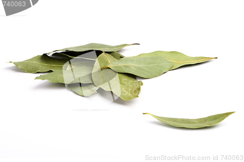 Image of bay leaves