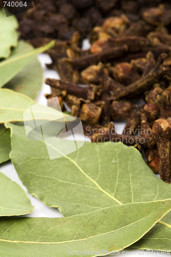 Image of bay leaves, cloves and black pepper