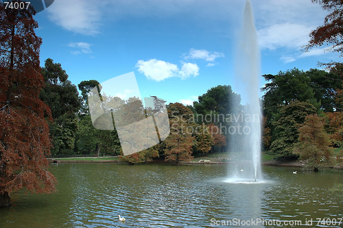 Image of Autumn park