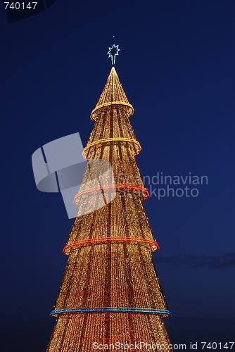 Image of Beautiful tall Christmas tree (at sunset)