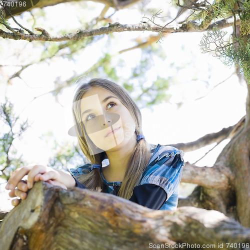 Image of Portrait of Tween Girl in Tree