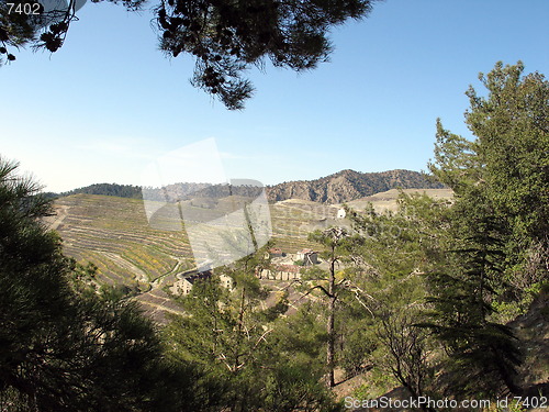 Image of Trees and mountains. Amiantos. Cyprus