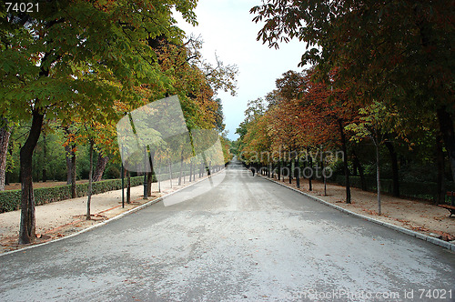 Image of Park alley