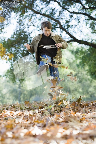 Image of Young Boy in Park