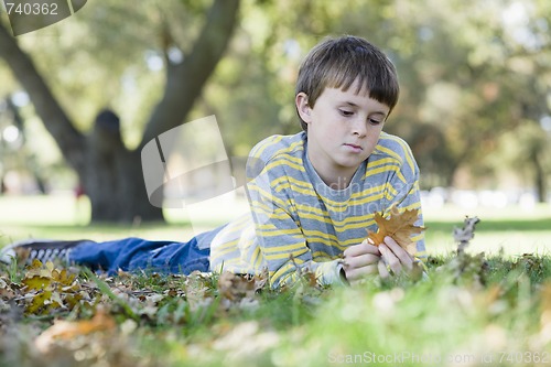 Image of Young Boy in Park