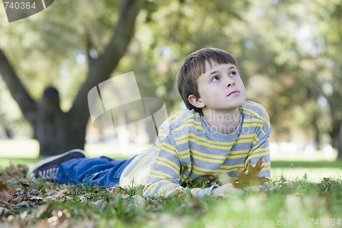 Image of Young Boy in Park