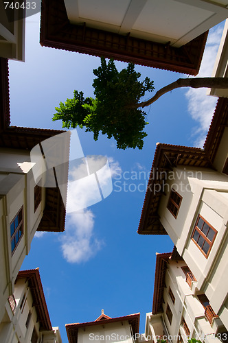 Image of Underside view of constructions