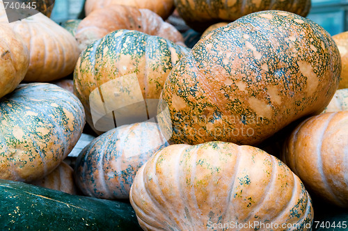 Image of Pumpkins