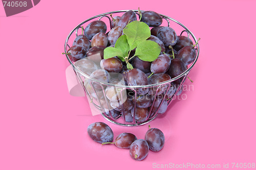 Image of Fresh plums