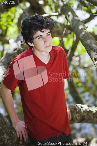 Image of Portrait of Teen Boy in Woods